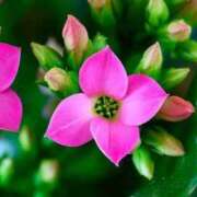 ヒメ日記 2025/12/08 04:02 投稿 ひかり 美熟女倶楽部Hip's 春日部店