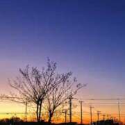 ヒメ日記 2025/12/11 03:52 投稿 ひかり 美熟女倶楽部Hip's 春日部店