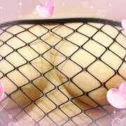 ヒメ日記 2025/12/12 11:12 投稿 ひかり 美熟女倶楽部Hip's 春日部店