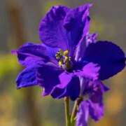 ヒメ日記 2025/12/20 06:22 投稿 ひかり 美熟女倶楽部Hip's 春日部店