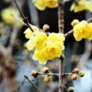 ヒメ日記 2026/01/11 14:32 投稿 ひかり 美熟女倶楽部Hip's 春日部店