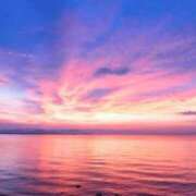 ヒメ日記 2026/01/16 03:42 投稿 ひかり 美熟女倶楽部Hip's 春日部店