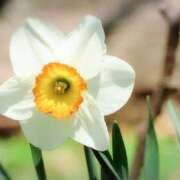 ヒメ日記 2026/01/20 03:42 投稿 ひかり 美熟女倶楽部Hip's 春日部店