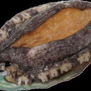 ヒメ日記 2026/01/22 07:24 投稿 ひかり 美熟女倶楽部Hip's 春日部店