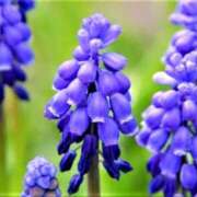 ヒメ日記 2026/02/02 03:32 投稿 ひかり 美熟女倶楽部Hip's 春日部店