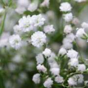 ヒメ日記 2026/02/03 04:52 投稿 ひかり 美熟女倶楽部Hip's 春日部店