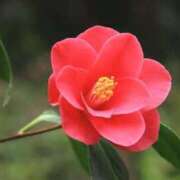 ヒメ日記 2026/02/04 04:02 投稿 ひかり 美熟女倶楽部Hip's 春日部店