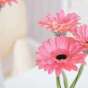 ヒメ日記 2026/02/05 03:22 投稿 ひかり 美熟女倶楽部Hip's 春日部店