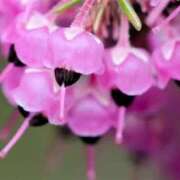 ヒメ日記 2026/02/06 03:32 投稿 ひかり 美熟女倶楽部Hip's 春日部店