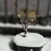 ヒメ日記 2026/02/08 06:12 投稿 ひかり 美熟女倶楽部Hip's 春日部店