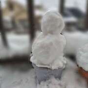 ヒメ日記 2026/02/09 06:32 投稿 ひかり 美熟女倶楽部Hip's 春日部店