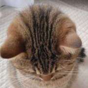 ヒメ日記 2026/02/12 10:34 投稿 ひかり 美熟女倶楽部Hip's 春日部店