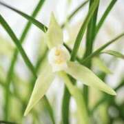 ヒメ日記 2026/02/14 06:52 投稿 ひかり 美熟女倶楽部Hip's 春日部店