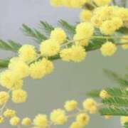 ヒメ日記 2026/02/17 03:52 投稿 ひかり 美熟女倶楽部Hip's 春日部店