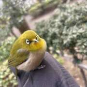 ヒメ日記 2026/02/20 03:12 投稿 ひかり 美熟女倶楽部Hip's 春日部店