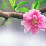 ヒメ日記 2026/03/03 03:52 投稿 ひかり 美熟女倶楽部Hip's 春日部店