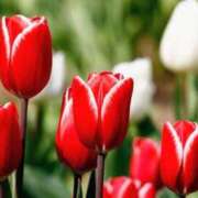 ヒメ日記 2026/03/04 04:22 投稿 ひかり 美熟女倶楽部Hip's 春日部店