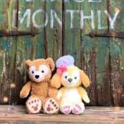 ヒメ日記 2026/03/10 09:32 投稿 ひかり 美熟女倶楽部Hip's 春日部店