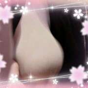 ヒメ日記 2026/03/19 10:42 投稿 ひかり 美熟女倶楽部Hip's 春日部店