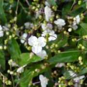 ヒメ日記 2026/03/27 04:12 投稿 ひかり 美熟女倶楽部Hip's 春日部店