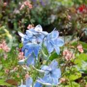 ヒメ日記 2026/04/14 03:52 投稿 ひかり 美熟女倶楽部Hip's 春日部店