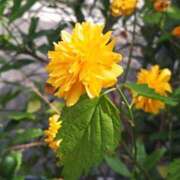 ヒメ日記 2026/04/19 08:42 投稿 ひかり 美熟女倶楽部Hip's 春日部店