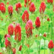 ヒメ日記 2026/04/20 03:32 投稿 ひかり 美熟女倶楽部Hip's 春日部店