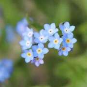 ヒメ日記 2026/04/21 04:42 投稿 ひかり 美熟女倶楽部Hip's 春日部店