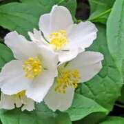 ヒメ日記 2026/04/28 03:52 投稿 ひかり 美熟女倶楽部Hip's 春日部店