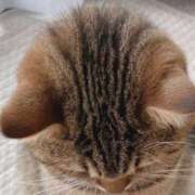 ヒメ日記 2026/04/28 08:02 投稿 ひかり 美熟女倶楽部Hip's 春日部店