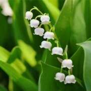 ヒメ日記 2026/05/01 06:02 投稿 ひかり 美熟女倶楽部Hip's 春日部店