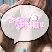 ヒメ日記 2025/04/12 16:49 投稿 あいり 川崎ソープ　クリスタル京都南町