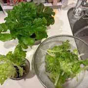 ヒメ日記 2025/05/08 11:26 投稿 あいり 川崎ソープ　クリスタル京都南町