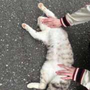 ヒメ日記 2025/06/14 19:26 投稿 あいり 川崎ソープ　クリスタル京都南町