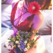 ヒメ日記 2026/01/12 20:17 投稿 あいり 川崎ソープ　クリスタル京都南町