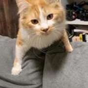 ヒメ日記 2026/01/13 07:47 投稿 あいり 川崎ソープ　クリスタル京都南町