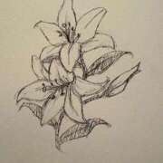 ヒメ日記 2026/01/15 11:47 投稿 あいり 川崎ソープ　クリスタル京都南町