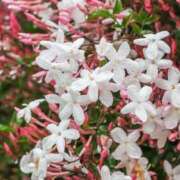 ヒメ日記 2025/05/02 16:04 投稿 みずき エデン