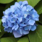 ヒメ日記 2025/06/17 21:50 投稿 みずき エデン