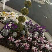 ヒメ日記 2026/02/08 23:21 投稿 みずき エデン