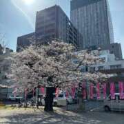 ヒメ日記 2026/03/30 17:51 投稿 みずき エデン