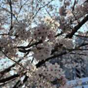 ヒメ日記 2026/04/02 17:21 投稿 みずき エデン