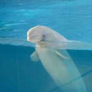 ヒメ日記 2025/09/30 14:19 投稿 みずき G-STAGE