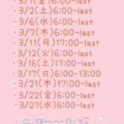 ヒメ日記 2024/03/01 14:19 投稿 くるみ G-STAGE（京都グループ）