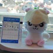 ヒメ日記 2025/02/21 16:28 投稿 くるみ G-STAGE（京都グループ）