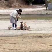 ヒメ日記 2026/03/03 13:53 投稿 くるみ G-STAGE