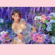 ヒメ日記 2026/06/27 05:16 投稿 くるみ G-STAGE