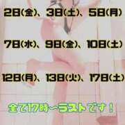 ヒメ日記 2025/04/26 08:48 投稿 かなめ 東京妻