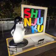 ヒメ日記 2025/11/16 20:58 投稿 かなめ 東京妻