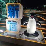 ヒメ日記 2025/12/12 18:28 投稿 かなめ 東京妻